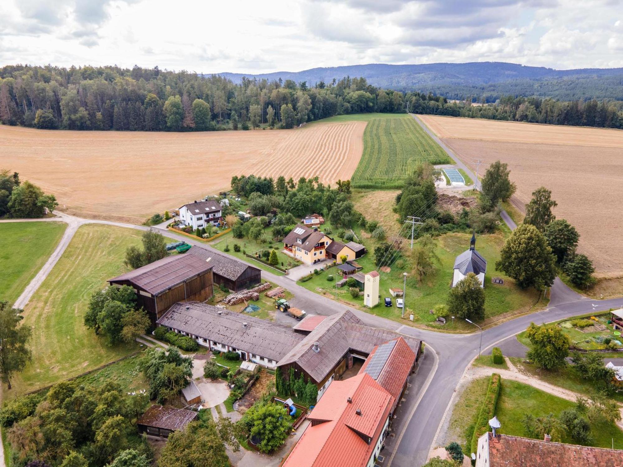 Ferienwohnung Baecher Wiesau Kültér fotó